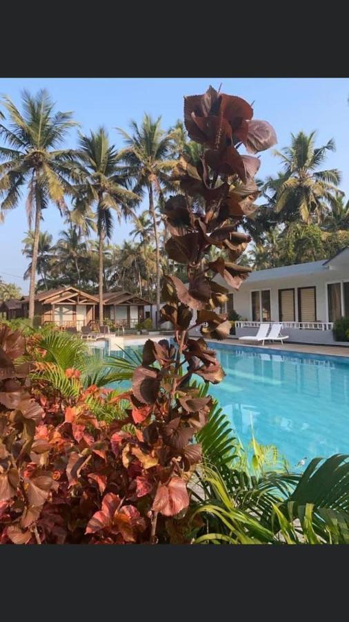 Golden Sands Resort, มอร์จิม ภายนอก รูปภาพ